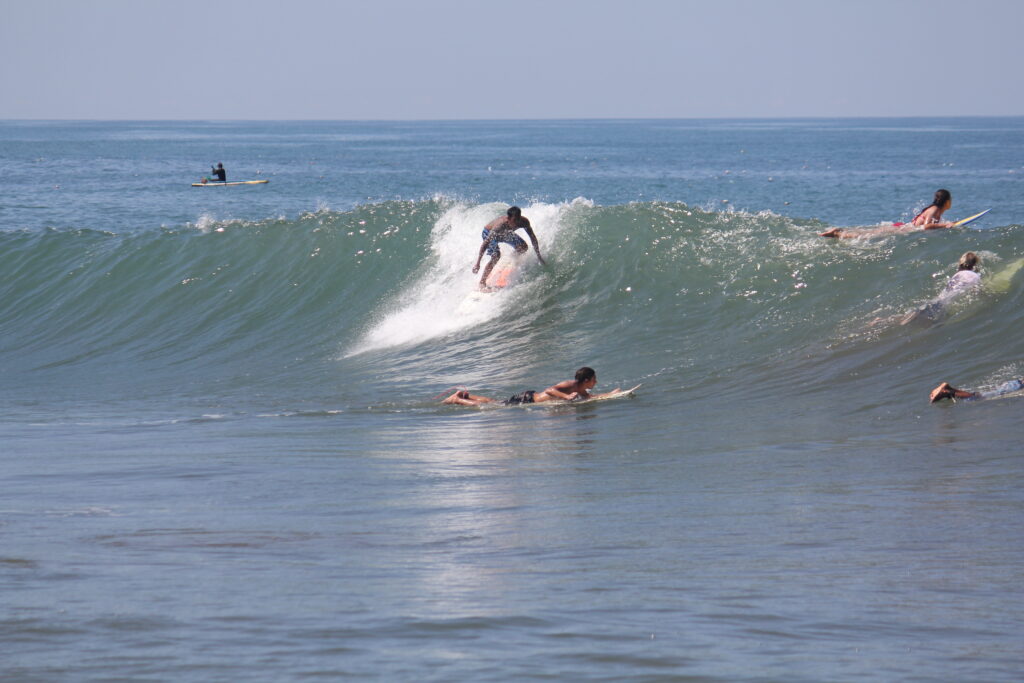 Surf Tour Guide