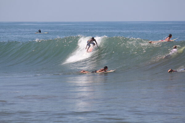 Surf Tour Guide