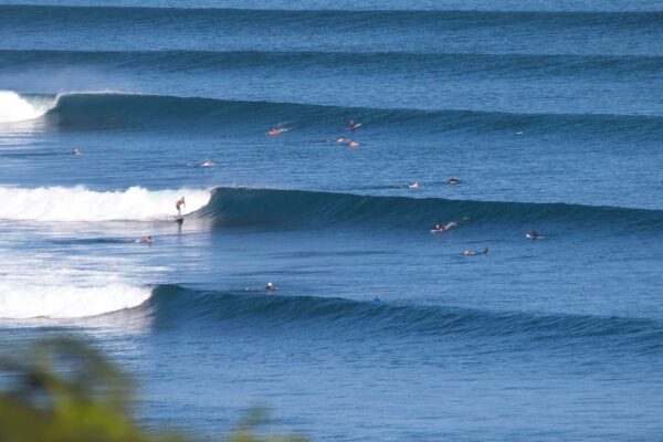 Surf in Bali